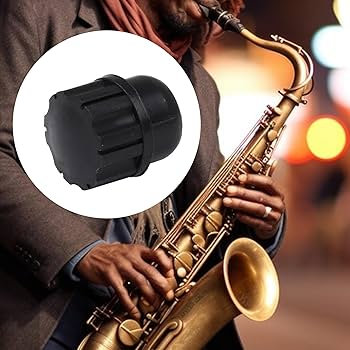 Amazon.com: lovermusic Black Plastic Sax End Plug Brush Cap
